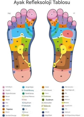 Doğal Ahşap Ayak Masaj Aleti - Roller - Görsel 5