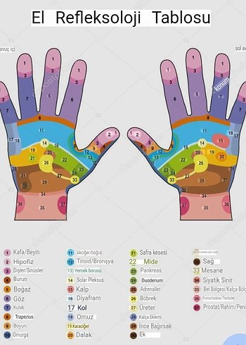 Doğal Ahşap Ayak Masaj Aleti - Roller - Görsel 4