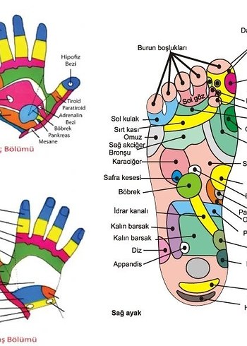 Doğal Ahşap Ayak Masaj Aleti - Roller - Görsel 3