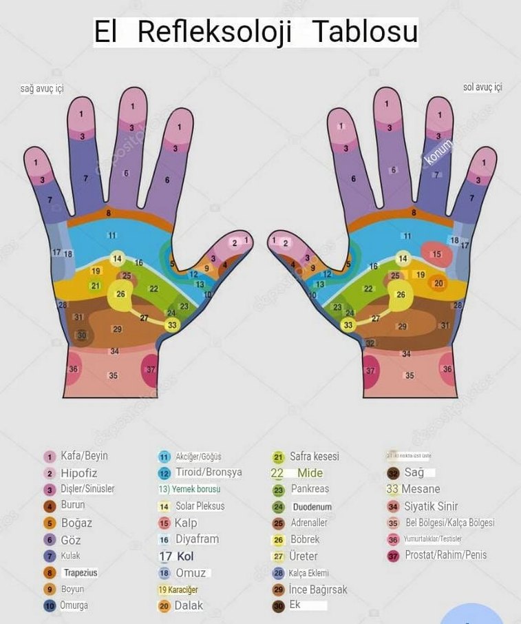 Doğal Ahşap Ayak Masaj Aleti - Roller - Görsel 4