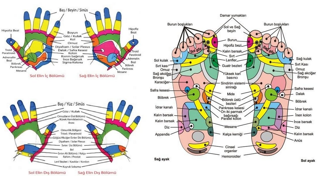 Doğal Ahşap Ayak Masaj Aleti - Roller - Görsel 3