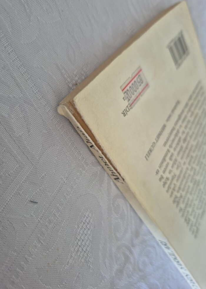 Geceyarısı Şarkıları - Ahmet Altan - Görsel 3