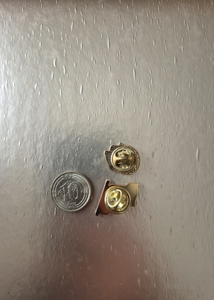 Atatürk ve Bayrak Rozeti - Görsel 5