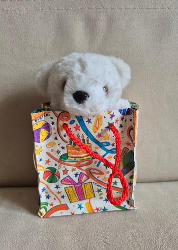 Renkli Hediye Çantasında Beyaz Peluş Ayı - Görsel 2