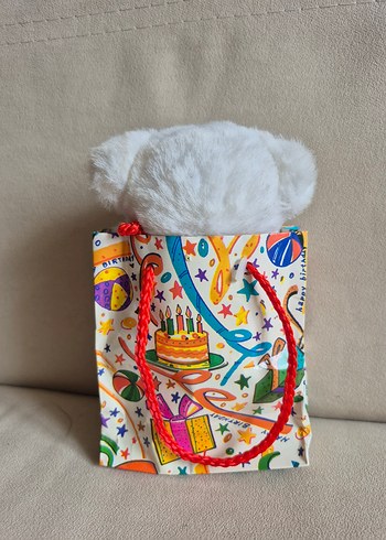 Renkli Hediye Çantasında Beyaz Peluş Ayı - Görsel 4