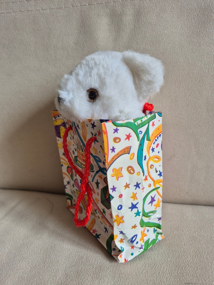 Renkli Hediye Çantasında Beyaz Peluş Ayı - Görsel 5