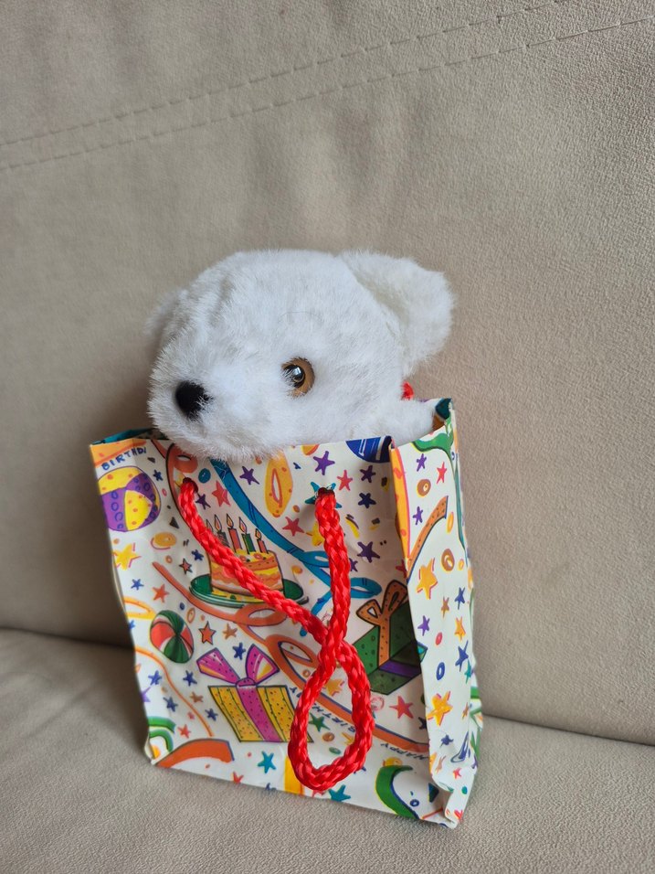 Renkli Hediye Çantasında Beyaz Peluş Ayı - Görsel 3