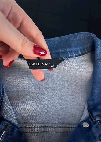 LCW Düğmeli Mavi Kadın Denim Ceket - Görsel 3