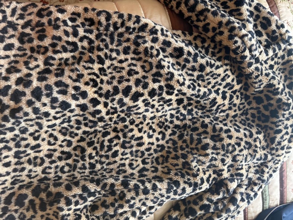 Perspective Leopar Desenli Kadın Kaban - Görsel 4