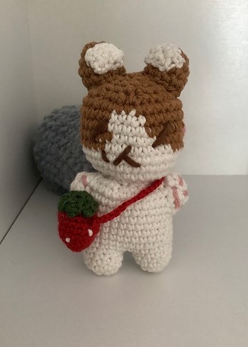 Teolaegi örgü - Görsel 2