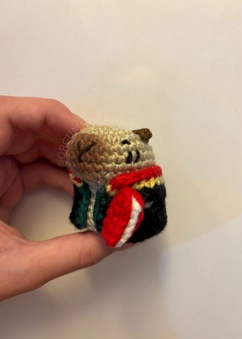 Diğer Avukat ve psikolog capybara örgü