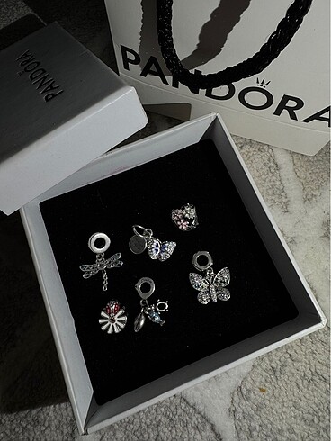 Pandora Pandora