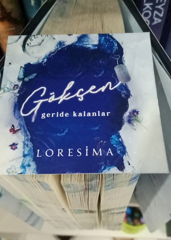 Beden Renk Gökçen 2 yan baskılı ciltli imzalı