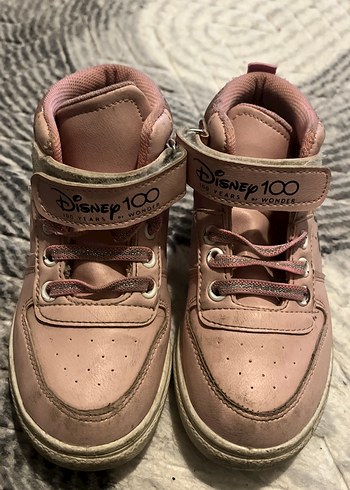 Walt Disney World 28