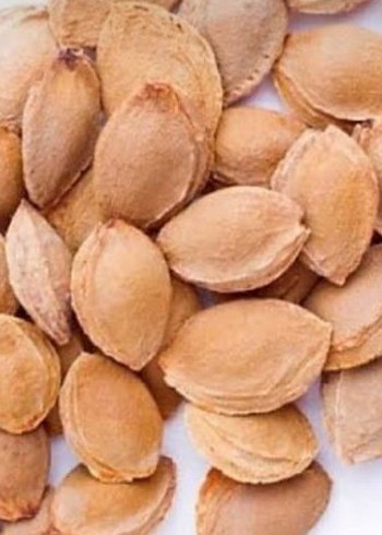 Doğal Kurutulmuş Kayısı Çekirdeği