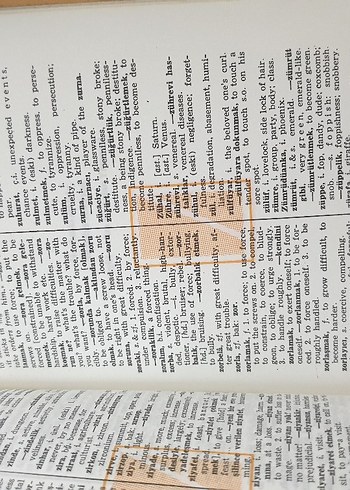 Golden Cambridge Dictionary İngilizce sözlük ve gramer kitabi - Görsel 5