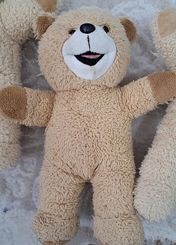 Pelus ayicik