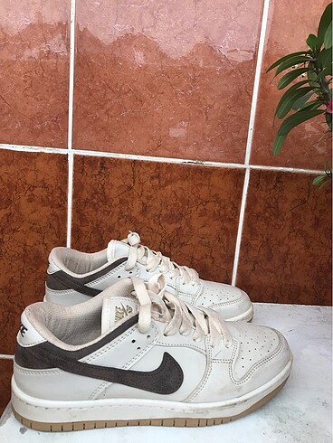 Nike dunk low pro