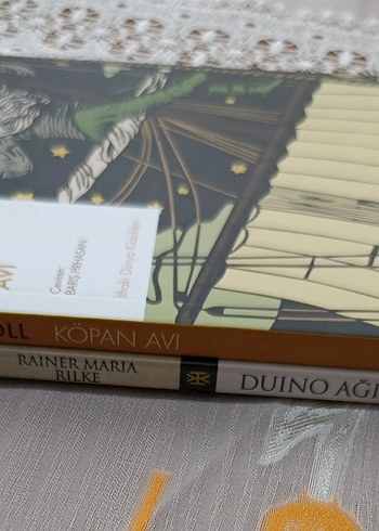 Lewis Carroll - Kópan Avı Çeviri Kitabı - Görsel 3