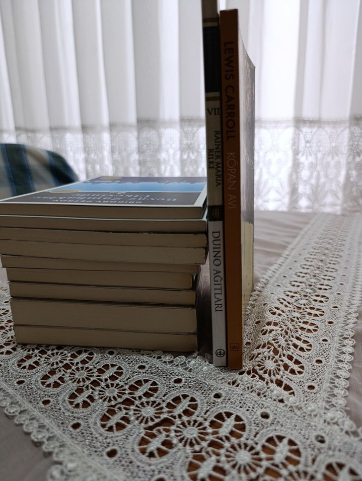 Lewis Carroll - Kópan Avı Çeviri Kitabı - Görsel 4