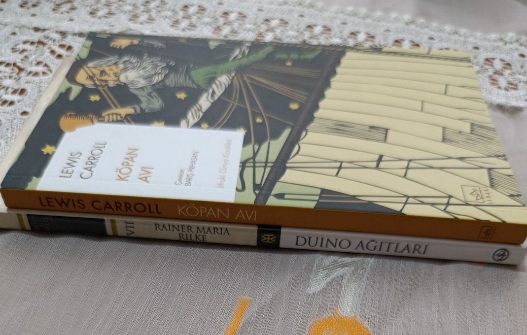 Lewis Carroll - Kópan Avı Çeviri Kitabı - Görsel 3