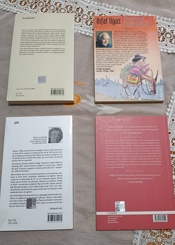 Dört Roman Kitabı Seti - Görsel 2