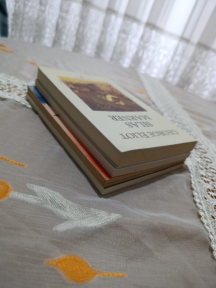 Dört Roman Kitabı Seti - Görsel 5