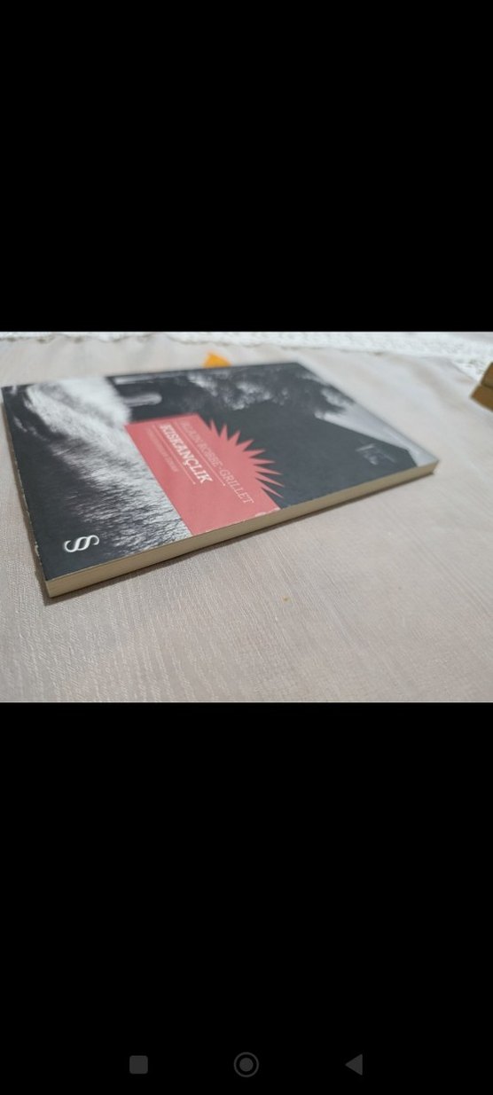 Kıskançlık - Alain Robbe-Grillet - Görsel 3