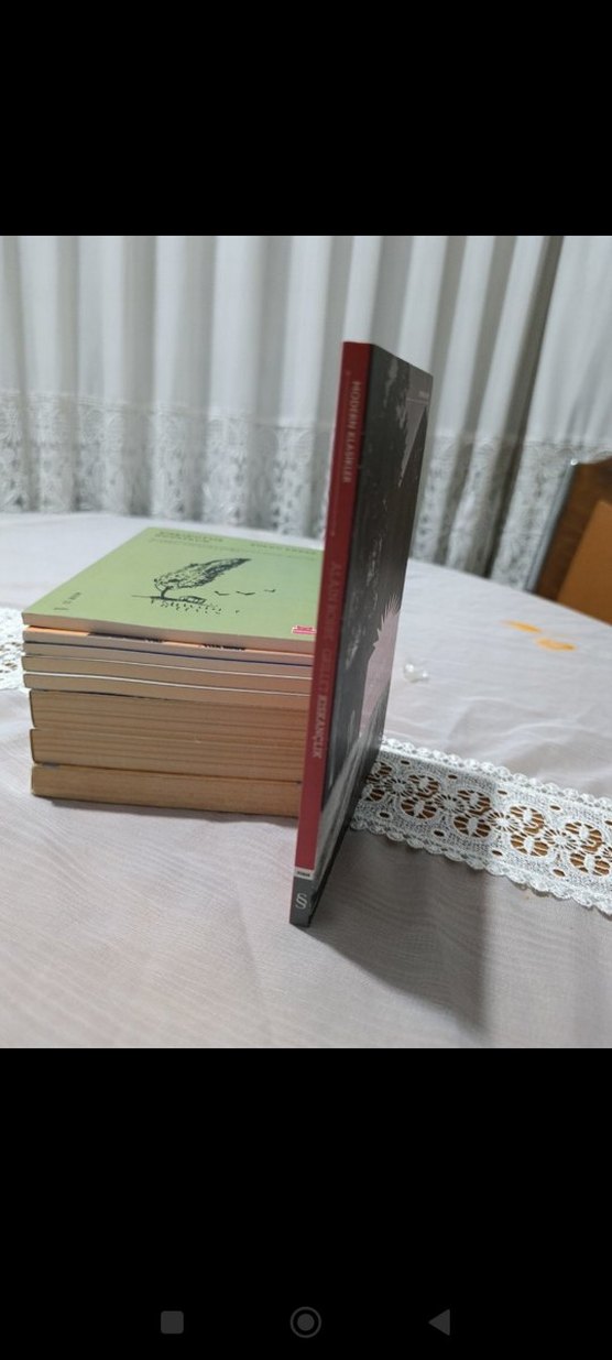 Kıskançlık - Alain Robbe-Grillet - Görsel 4