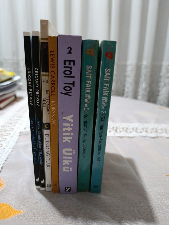 Edebiyat Klasikleri ve Roman Seti - Görsel 2