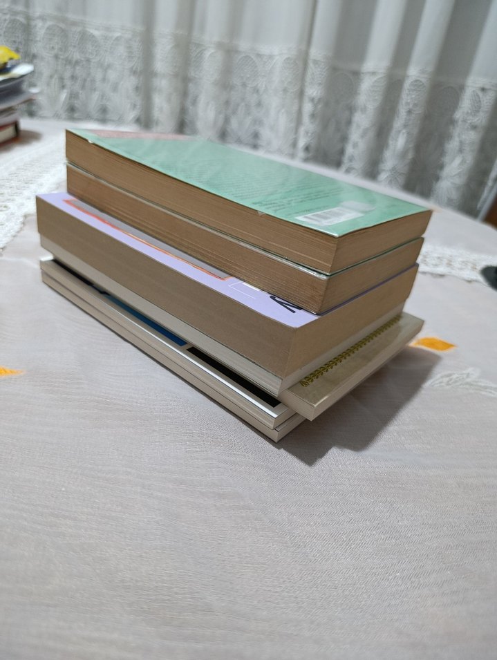 Edebiyat Klasikleri ve Roman Seti - Görsel 4