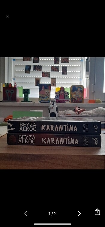 Karantina kitap 2-3