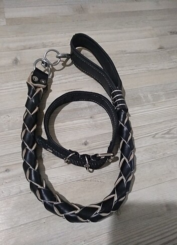  Köpek tasmasi seti