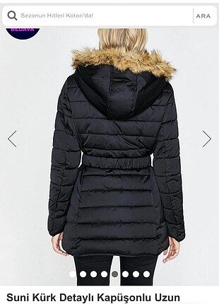 Koton mont
