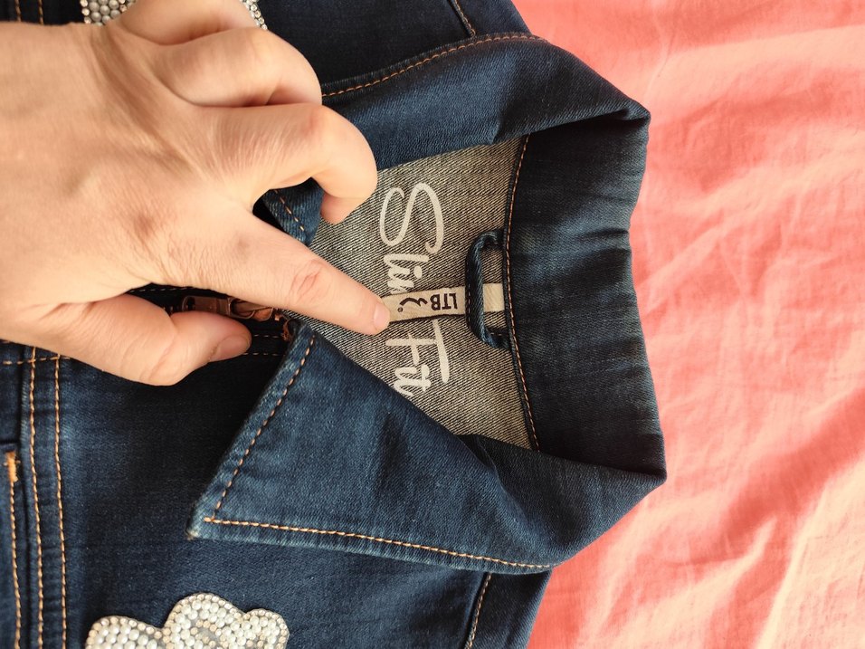 Nakışlı Mavi Kadın Denim Ceket - Görsel 5