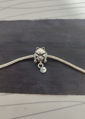 Kedili pandora charn - Görsel 3