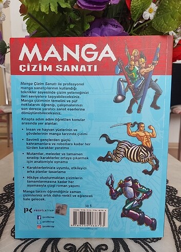  Manga Çizim Sanatı Peter Gray Kitap