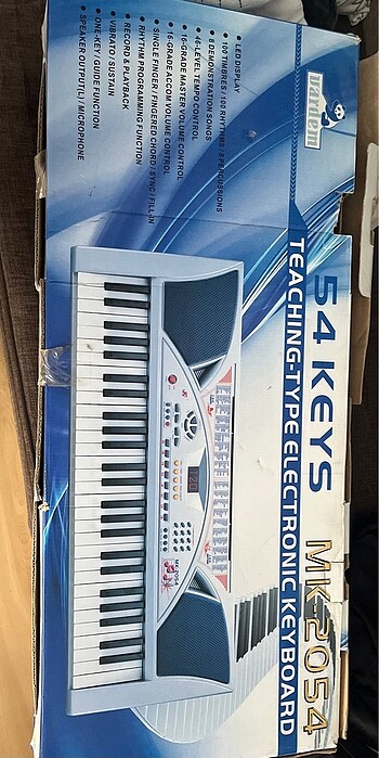 elektronik org