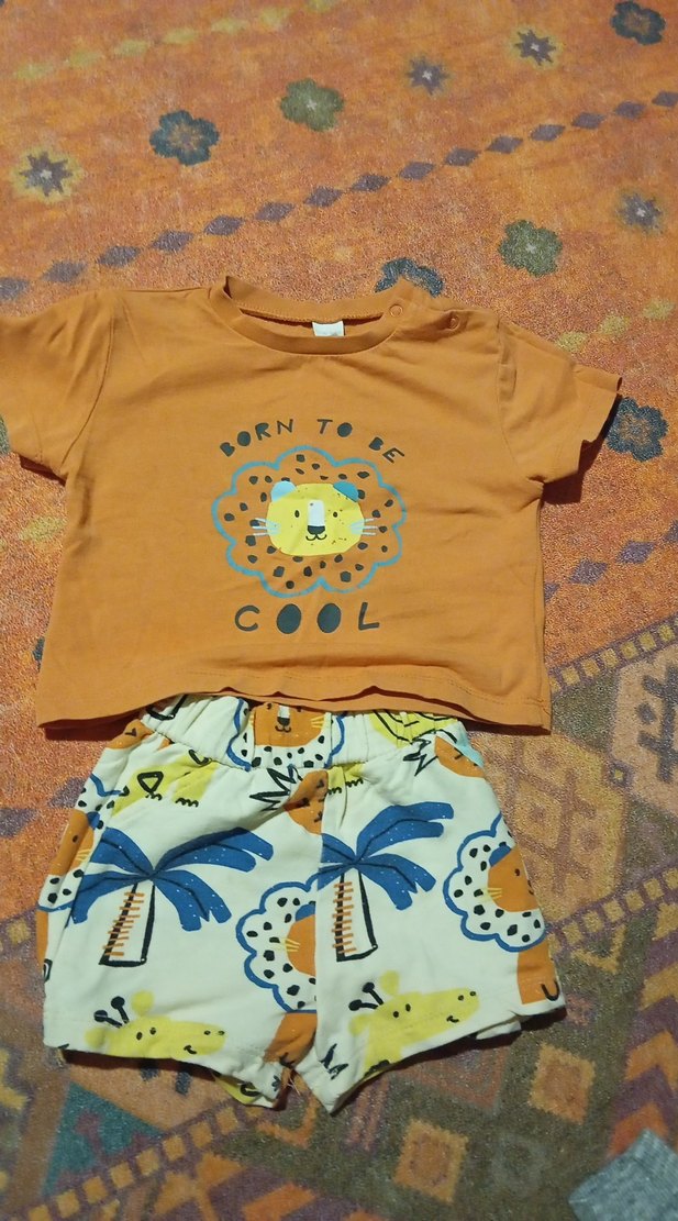 Bebek Erkek Kısa Kollu Pamuklu Tişört ve Şort Seti - Görsel 2