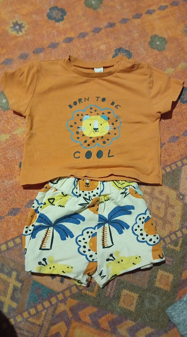 Bebek Erkek Kısa Kollu Pamuklu Tişört ve Şort Seti - Görsel 3