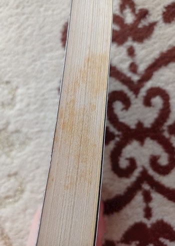 Kitap Avcısı - Zeynep Erdun