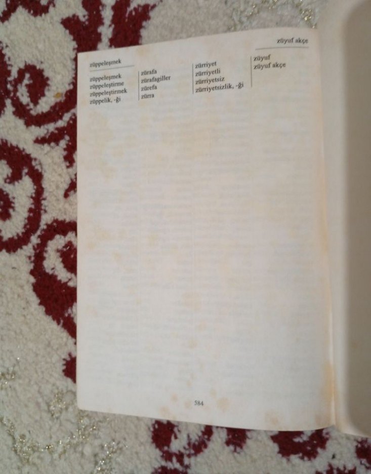 Yazım Kılavuzu, TDK - Görsel 3