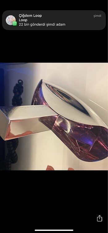 Calvin Klein Calvin Klein Euphoria parfüm