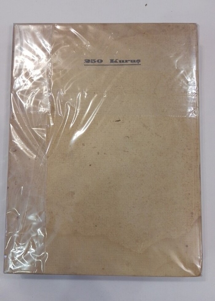 Türkiye cumhuriyeti devleti ve haliki gazi mustafa kemal - Görsel 2