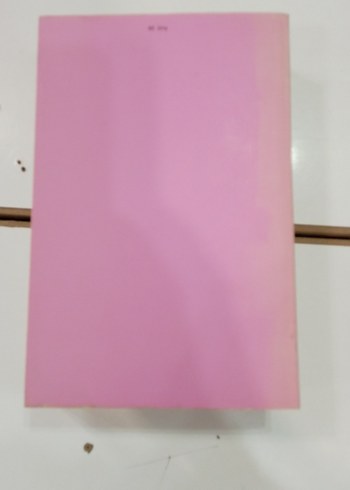 Marx ve Engels - Doğu Sorunu (Türkiye) Kitabı - Görsel 6