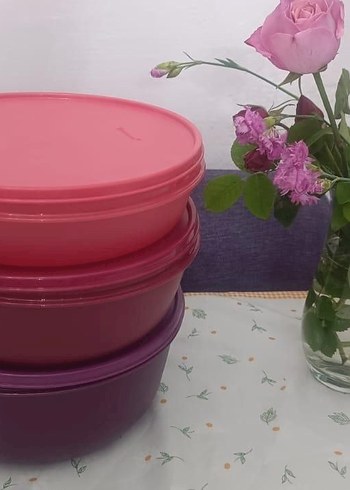Tupperware Pastel Renkli Plastik Saklama Kapları