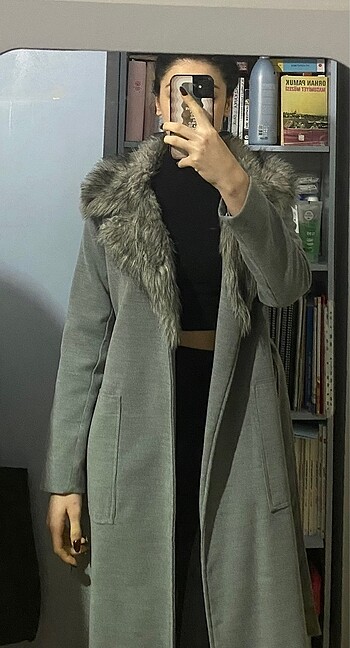 Gri kürklü kaban