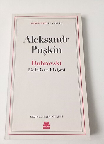Bir İntikam Hikayesi 