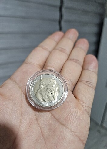  Karakulak Hatıra Para 