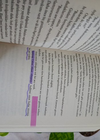 Gözyaşı Ustası - Erin Doom - Görsel 3